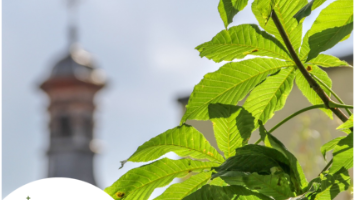 Klima-Kirchturm-2026-Titelbild_1080x1080.png_1195432692