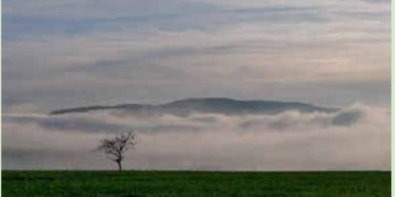 Andacht Atempause 17.02.2026