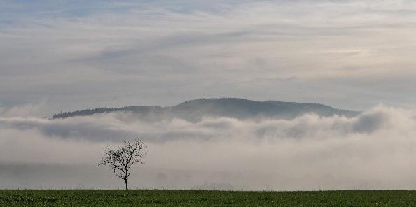 'Gott alleine genügt'