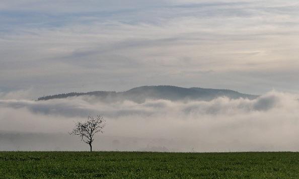 'Gott alleine genügt'