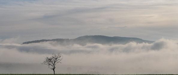 'Gott alleine genügt'