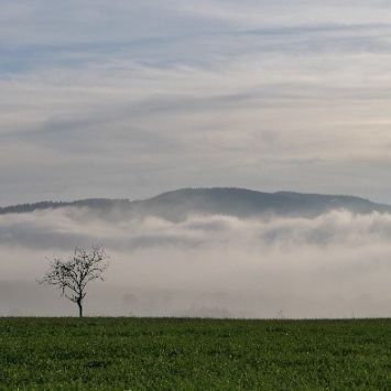 'Gott alleine genügt'