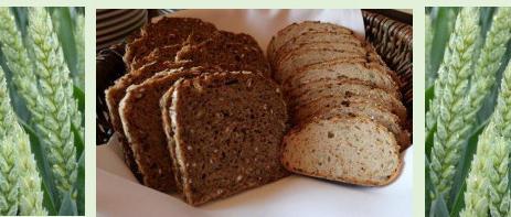 Atempause - die Abendandacht der kfd