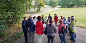 Bibel und Rucksack