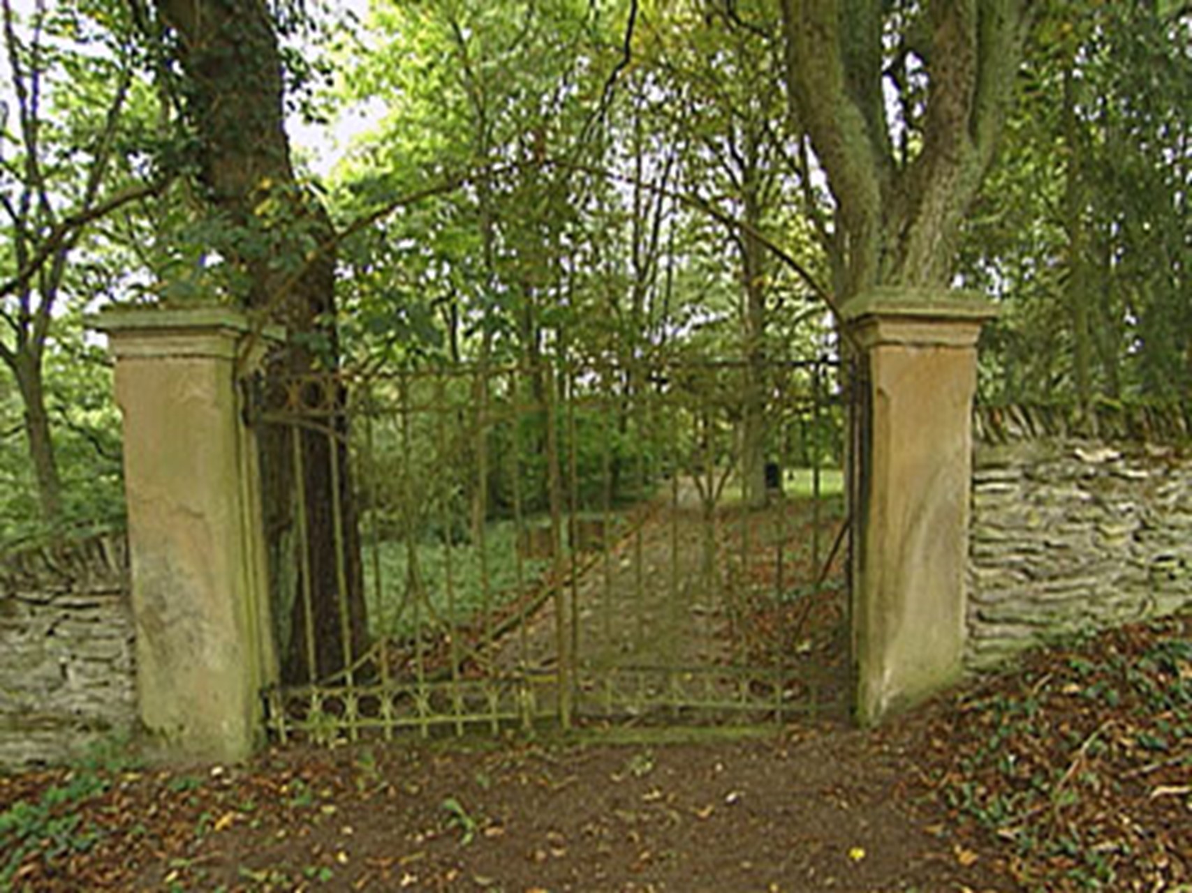Der Schoenenberg bei Riegenroth