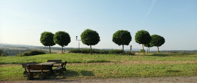 'Du führst mich hinaus in die Weite'