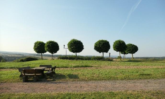 'Du führst mich hinaus in die Weite'