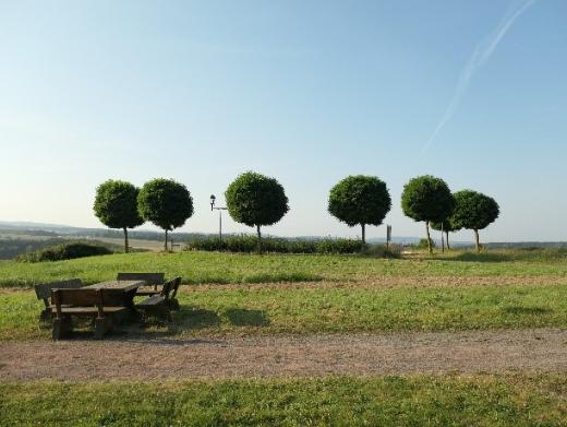 'Du führst mich hinaus in die Weite'