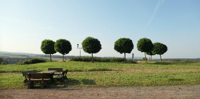 'Du führst mich hinaus in die Weite'