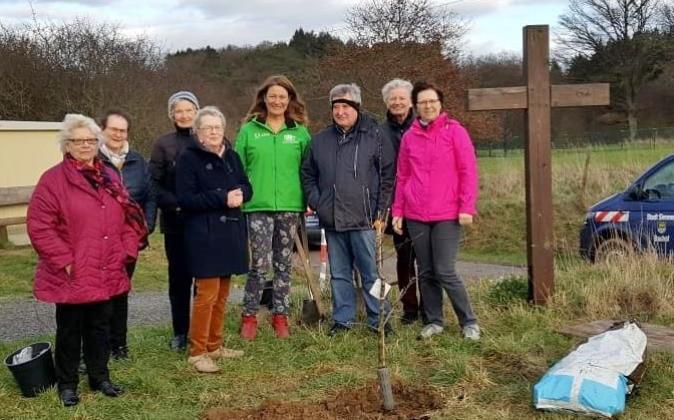Ein Apfelbaum wired beim Kreuz am Simmersee gepflanzt