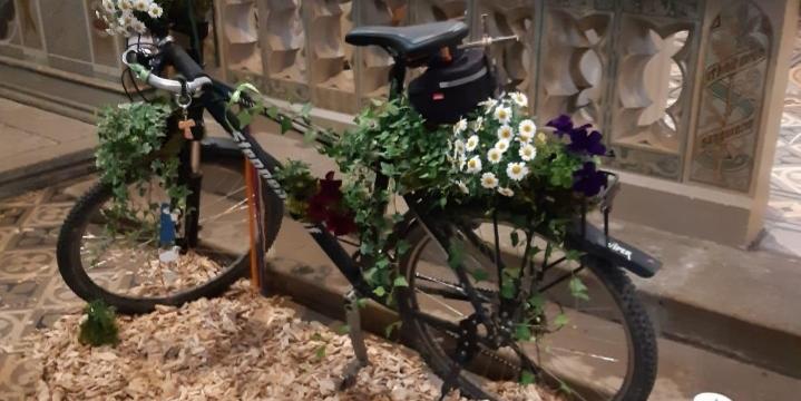 Fahrrad Thomas Schneider