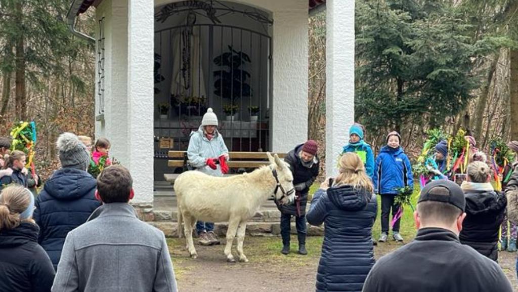 Palmsonntag Esel Waldkapelle