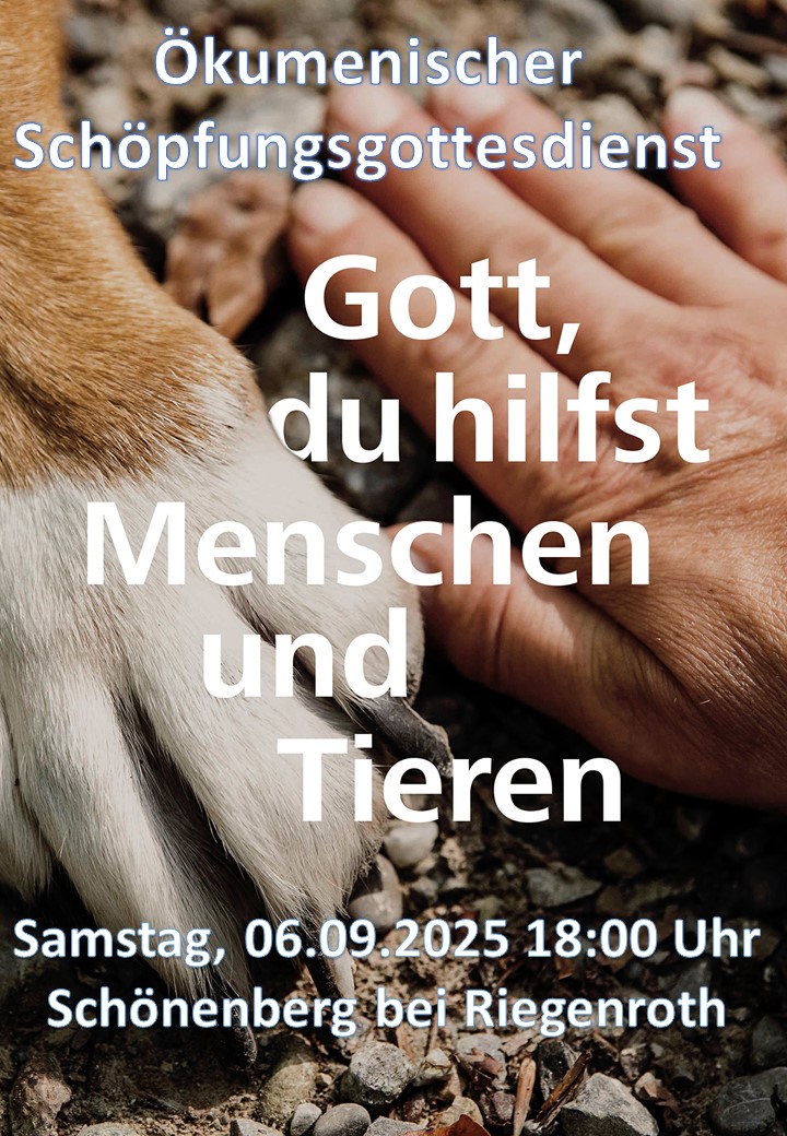 Schöpfungsgottesdienst Schönenberg 2025