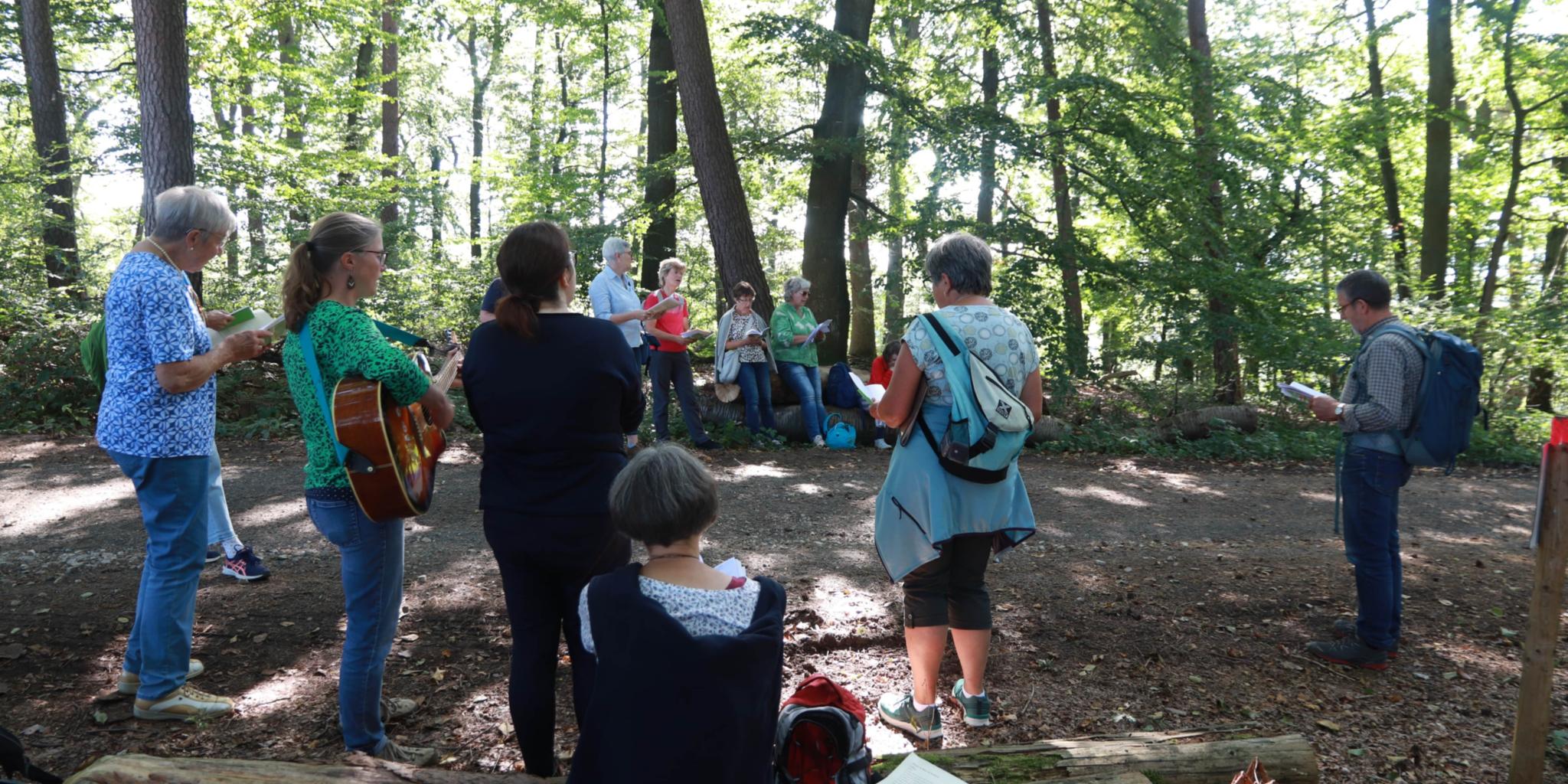 Station im Wald (c) Manfred Bauer Station im Wald