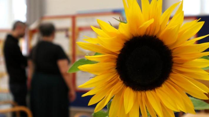 SynodalversammlungSimmer_Sonnenblume_jf.jpg_384004006