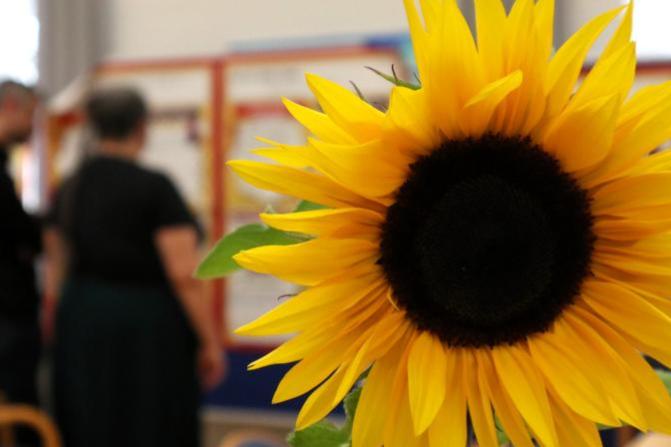 SynodalversammlungSimmer_Sonnenblume_jf.jpg_384004006