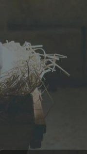 WhatsApp Image 2026-03-24 at 09.51.05