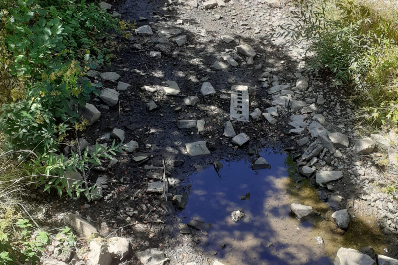 der Simmerbach ohne Wasser hat viel mit unserem Erntedankfest zu tun!