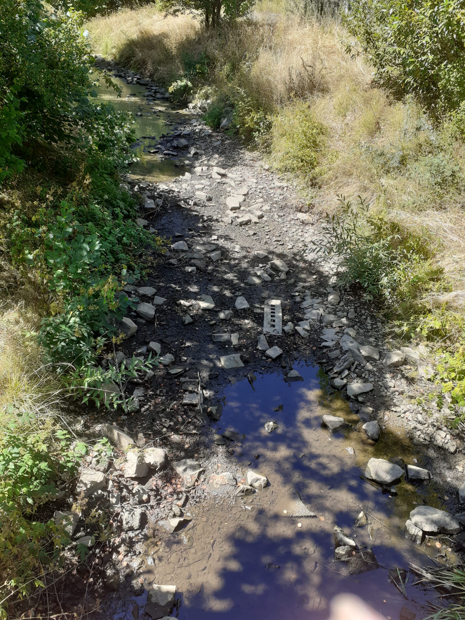 ohne Wasser präsentierte sich der Simmerbach noch im August (c) Markus Koch ohne Wasser präsentierte sich der Simmerbach noch im August