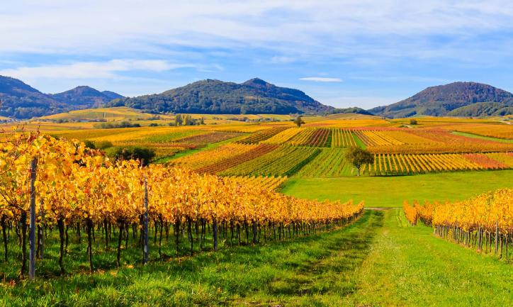 AK Caritas & Soziales