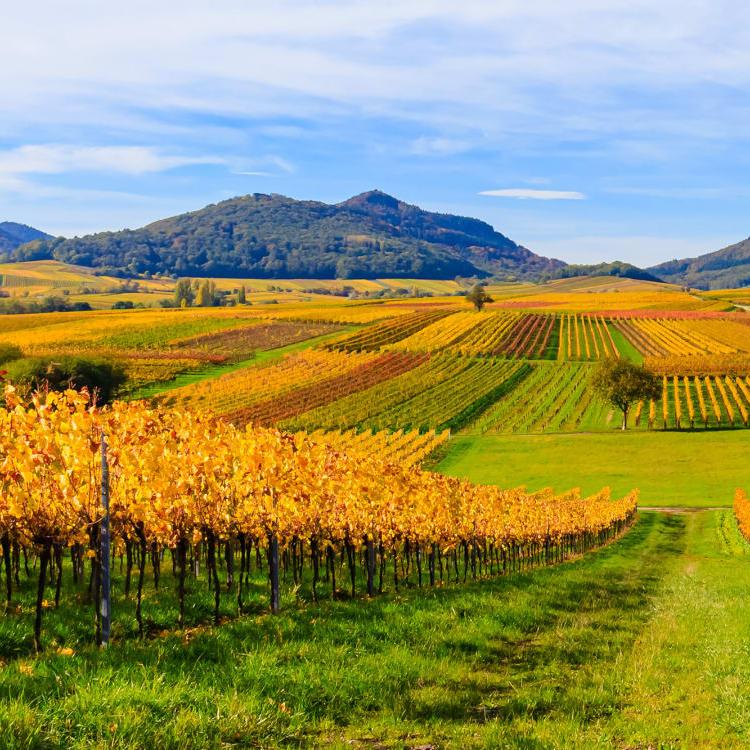 AK Caritas & Soziales