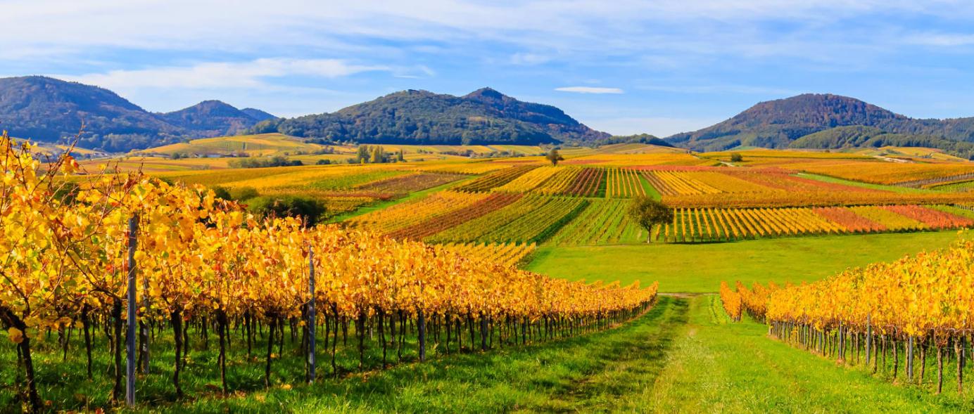 AK Caritas & Soziales