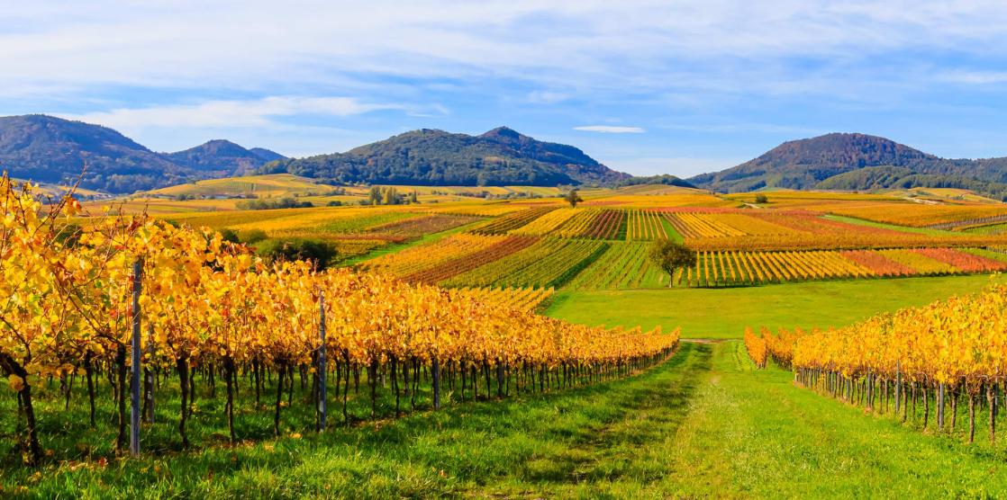 AK Caritas & Soziales