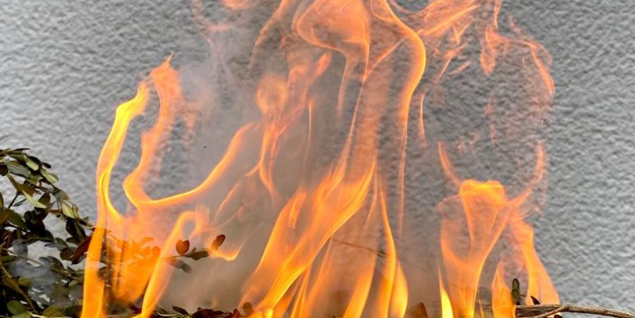 ein Gottesdienst für Kinder findet an Aschermittwoch im Pfarrgarten St. Josef statt