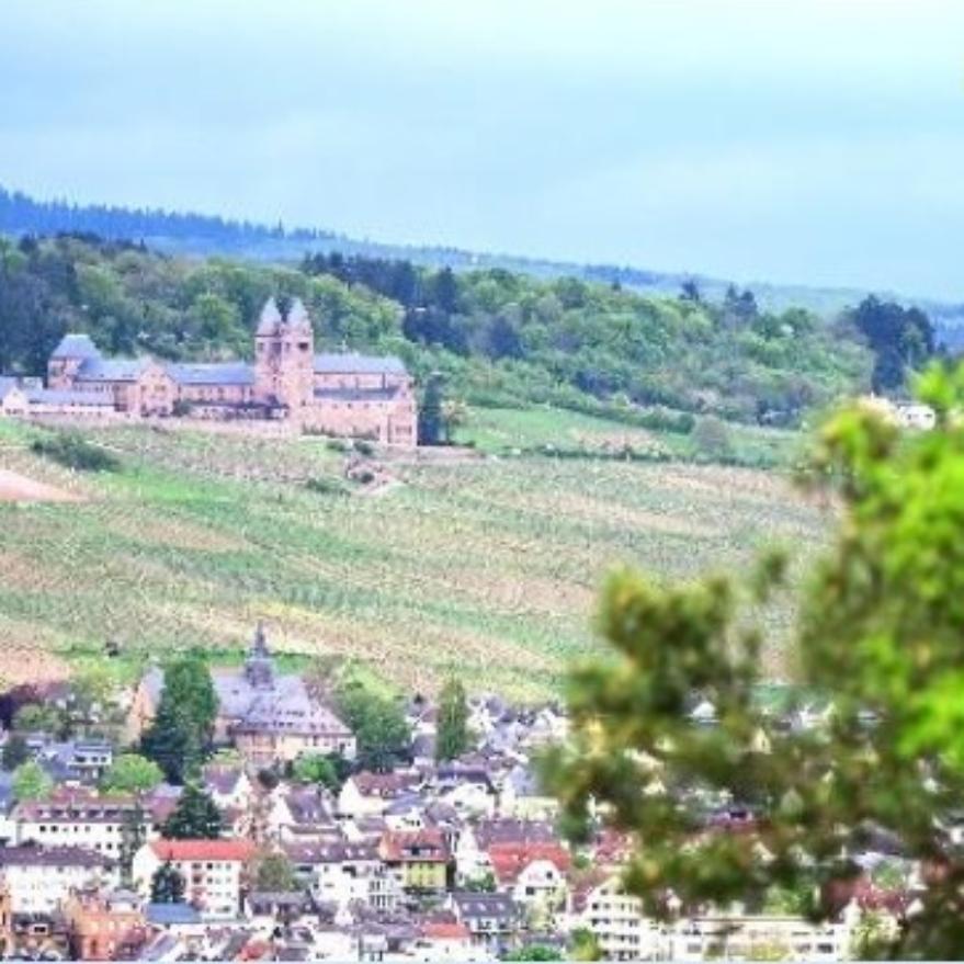 Ausflug der kfd