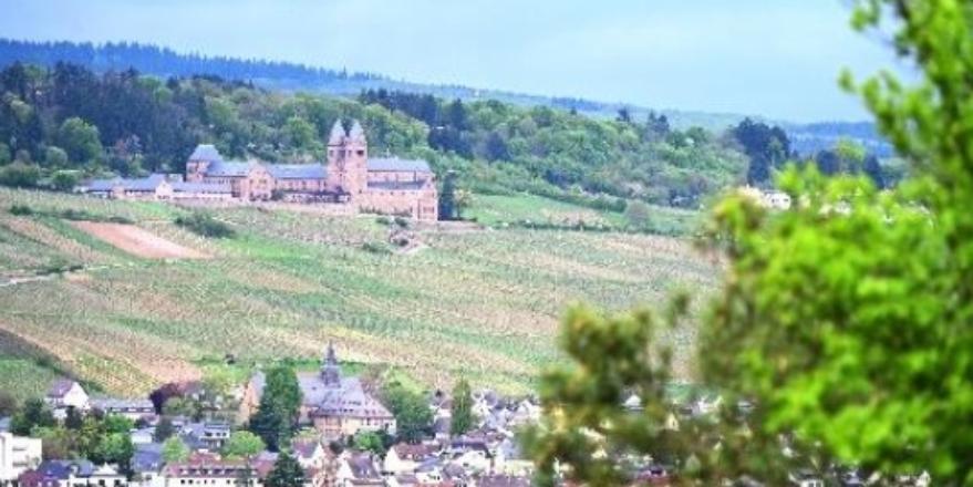 kfd folgt den Spuren von Hildegard von Bingen